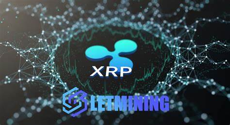 XRP attracts much attention, FindMining launches a new cloud mining strategy to earn daily income