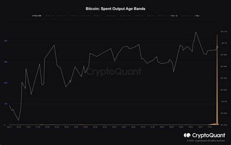 Whale Games: Bitcoin Trader Takes $11.6M Profit But Guess How Much More They're Sitting On