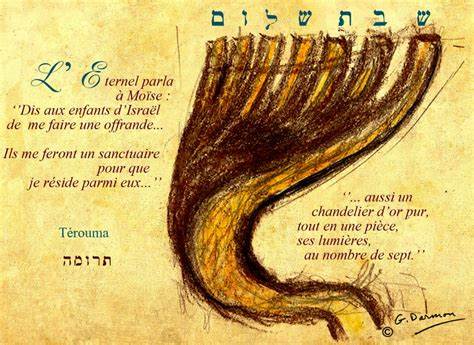 Terouma 5783: l'importance des ordonnances (vidéo) - JForum