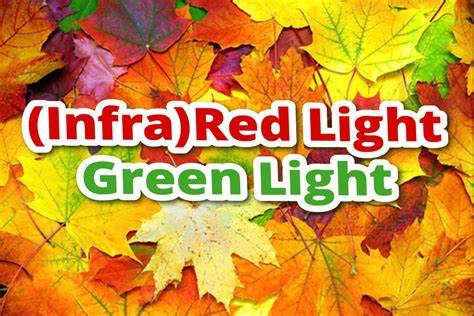 (Infra)Red Light, Green Light