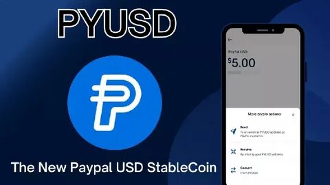 What Do You Need To Before Using PayPal's New Stablecoin, PYUSD? - DailyCoin