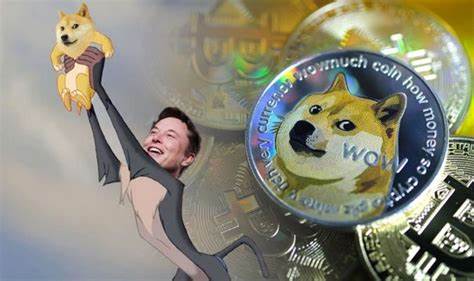 Dogecoin price today: Should I buy dogecoin after Elon Musk meme? ‘People’s crypto’ - Express