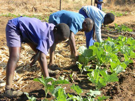 UBS, Wells Fargo, and Oppenheimer Raise PT on Nutrien Ltd. (NTR)