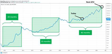 Bitcoin to $350,000? Six experts on what will unleash its stalling price - DLNews