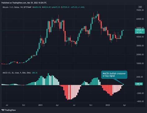 Bitcoin Drops Below 200-Day Average, Brings Bull Market Trendline Into Focus - CoinDesk