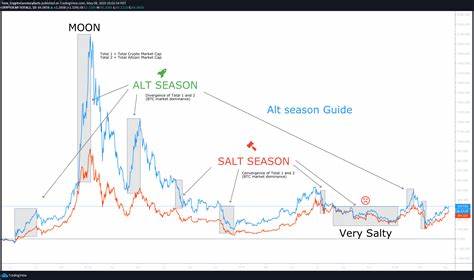 Bitcoin Sees 'Short Term Volatility' After Inflation Data, Altseason Remains Distant