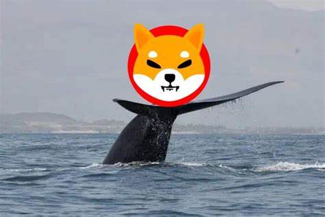 Shiba Inu Price Jumps 7% as Whales Move 3.78 Trillion SHIB, Market Eyes $0.000022 - EconoTimes