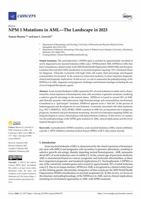 NPM 1 Mutations in AML—The Landscape in 2023 - PMC
