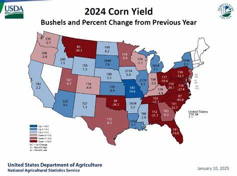 Corn Leaking Ahead of USDA Data