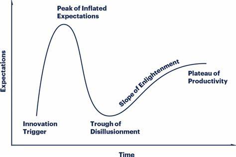 What Is the Gartner Hype Cycle?