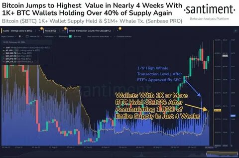 Bitcoin Whales Scoop Up $1.5B as Market Prepares for Major Price Move - TronWeekly