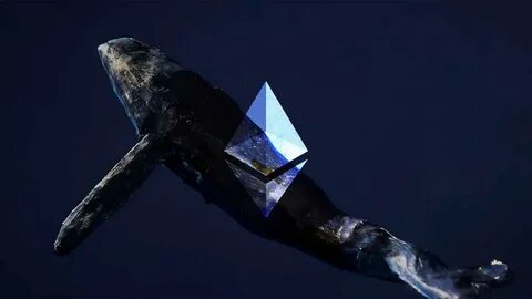 Ethereum Whale Wipeout Drives Hyperliquid’s Second-Largest Daily Outflow - MSN