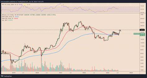 Bitcoin bull cycle outpaces historical patterns by 100 days: Report - Cointelegraph