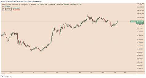 AVAX Whale Activity Soars 80%: Signs of Bullish Reversal Ahead - The Currency Analytics