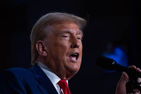 Trump says Elon Musk has agreed to lead proposed government efficiency commission, unveils new economic plans - KSLTV