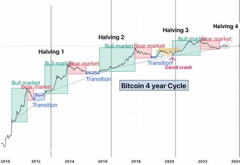 Previous Cycles Show Bitcoin Could Hit a New All-time High in 2024 with Trend Extending Into 2025 - Cryptonews