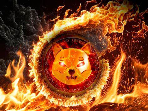 SHIB Burns Rally by Almost 100%, Here's What's Happening - U.Today