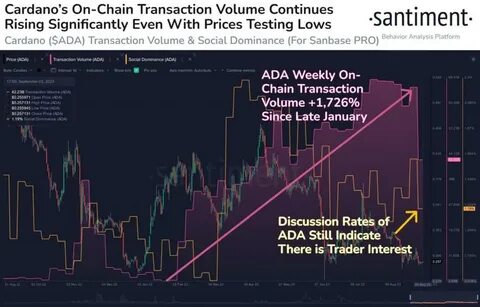 Trend Rider Identifies Two Potential Paths for Cardano’s Price Surge