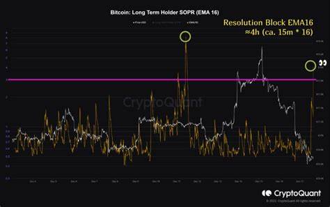 Bitcoin (BTC) Long-Term Holders Locking Consistent Gains: A Sign Of Stability? - NewsBTC