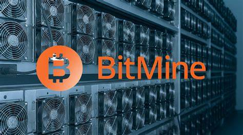 BitMine Immersion Authorizes $1 Billion Share Buyback