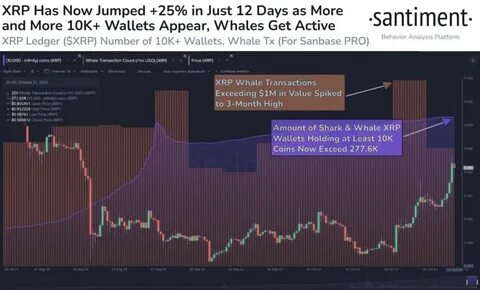 $850 Million Wipeout: Ripple’s XRP, Solana, And Dogecoin Post Double-Digit Losses As Bitcoin Sinks Below $100,000 - ZyCrypto