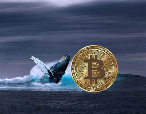 Bitcoin Whales Accumulate 20K BTC, Fueling $70K BTC Rally - CoinGape