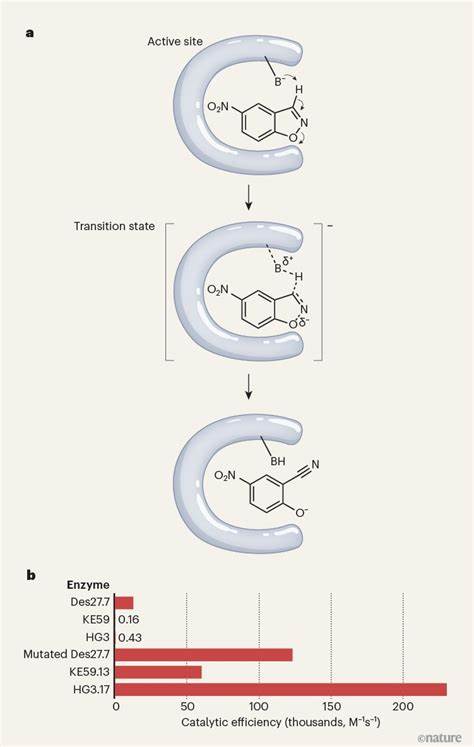 Highly efficient enzymes designed from scratch