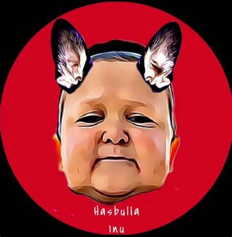 Hasbulla's Cat Price: BARSIK Live Price Chart, Market Cap & News Today - CoinGecko Buzz