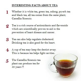 Interesting facts about tea