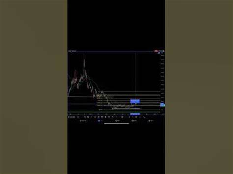 Litecoin Bounces Back from $100: Will It Reach $150? - The Crypto Basic