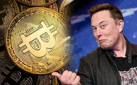 North Korea-linked Lazarus Group holds more Bitcoin than Elon Musk's Tesla - FXStreet
