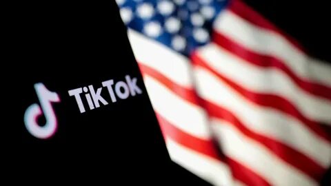 Reddit Co-Founder Wants to Buy TikTok and Put It on the Blockchain - Crypto Head