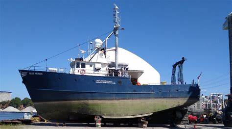 Mysterious life form found on ship that docked in Cleveland