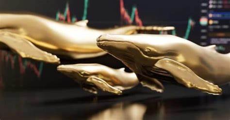 What Crypto Whales Are Buying for the 2025 Bull Run: Top 5 Coins - ABP Live