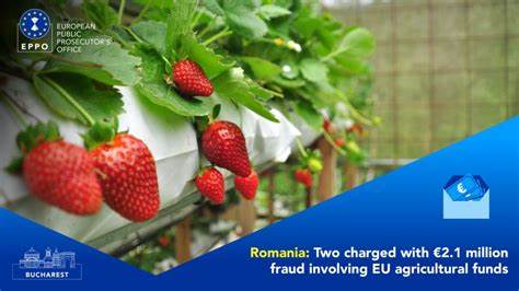 Slovakia: EPPO indicts individual and company for fraud involving karting centre