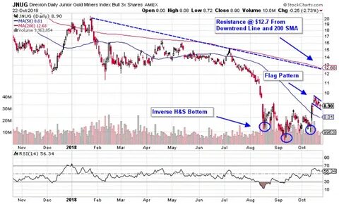 DIREXION DAILY JUNIOR GOLD MINERS INDEX BULL 2X SHARES