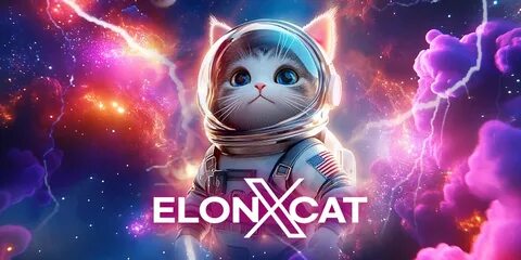 ElonXCat Token: A Multichain Meme Coin Revolution on Binance Smart Chain: Guest Post by NigellaDiamondClub - CoinMarketCap