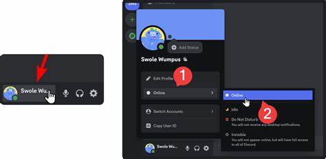 Discord statuses from a physical GameCube console