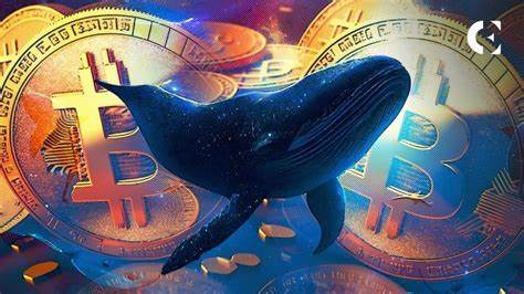 Whale Ahoy! Bitcoin Wallet Activated After 11 Years - BeInCrypto