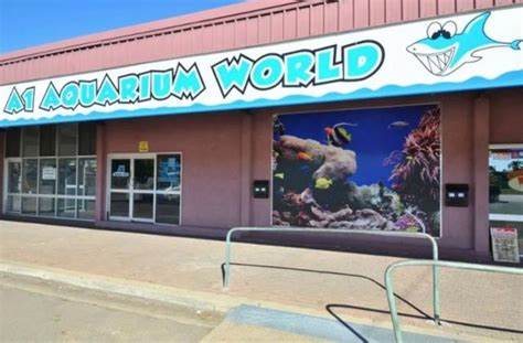 For sale for 7 Bitcoin: Townsville shop owner selling in crypto despite currency crash - Commercial Real Estate News