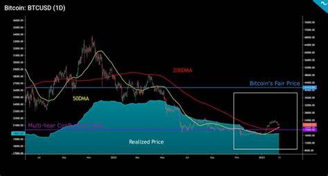 Bitcoin Resilient Amid Altcoin Struggles: A Market Breakdown - The Currency analytics