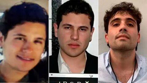 Fentanyl experiments, crypto payments and feeding people to tigers: A look inside the criminal empire of El Chapo’s sons - EL PAÍS USA