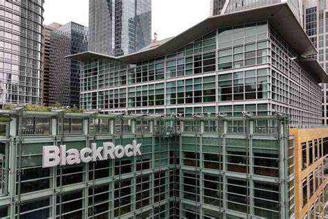 BlackRock Inflows, Hit by Single Client, Miss Expectations