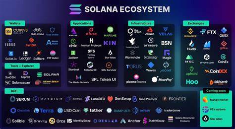 Forget Solana (SOL) and Ripple (XRP), Here Are the 2 Best Altcoins for 2500% ROI - Brave New Coin Insights