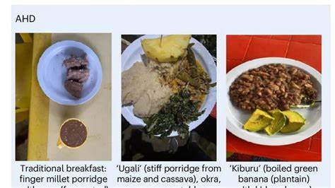 Immune and metabolic effects of African heritage diets versus Western diets