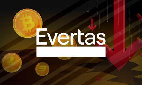 Crypto Insurance Firm Evertas Bucks Bear Market With $14M Raise - CoinDesk