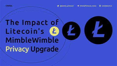 Litecoin MimbleWimble Delisted by Several Exchanges for Being Too Privacy-Protecting - CryptoPotato