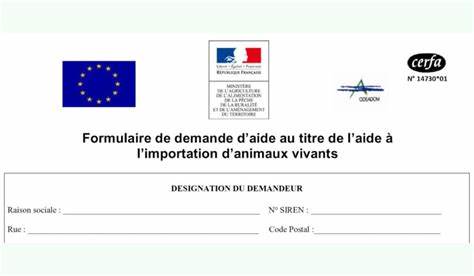 Aide pour SDF et animaux : formulaire de demande