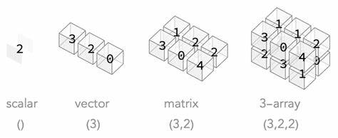 Structuring Arrays with Algebraic Shapes