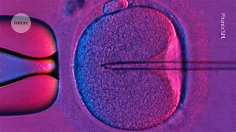 'Landmark' study: three-person IVF leads to eight healthy children